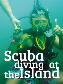 Scuba diving at the Island
