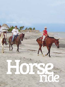 Beachside Horse ride - Xtreme Panama
